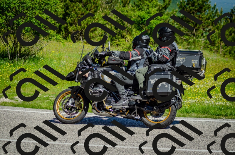 202506011036-DSC_2490_c2