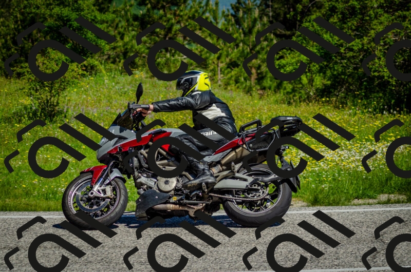 202506011036-DSC_2493_c2