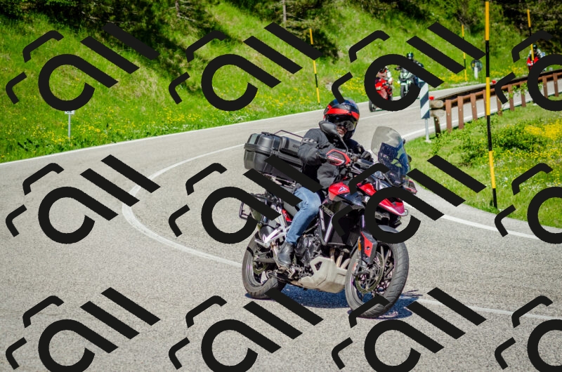 202506011037-DSC_2502_c2