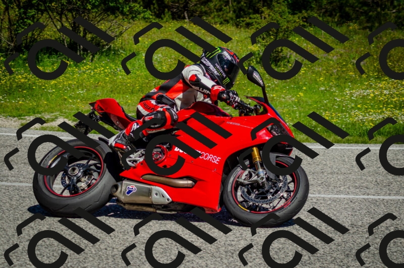 202506011037-DSC_2505_c2