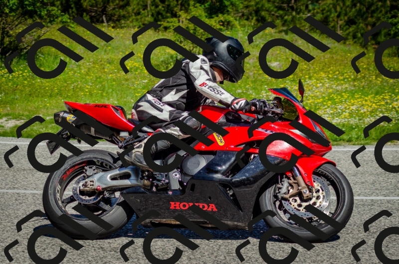 202506011037-DSC_2508_c2