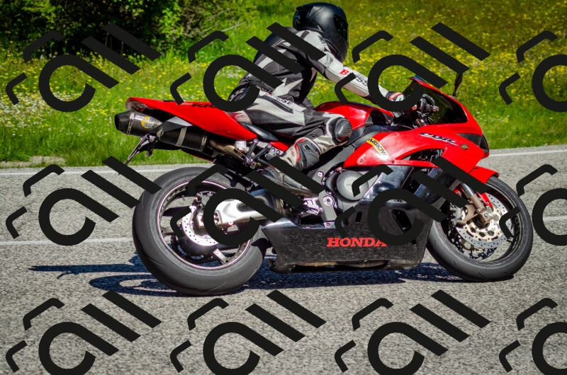 202506011037-DSC_2509_c2