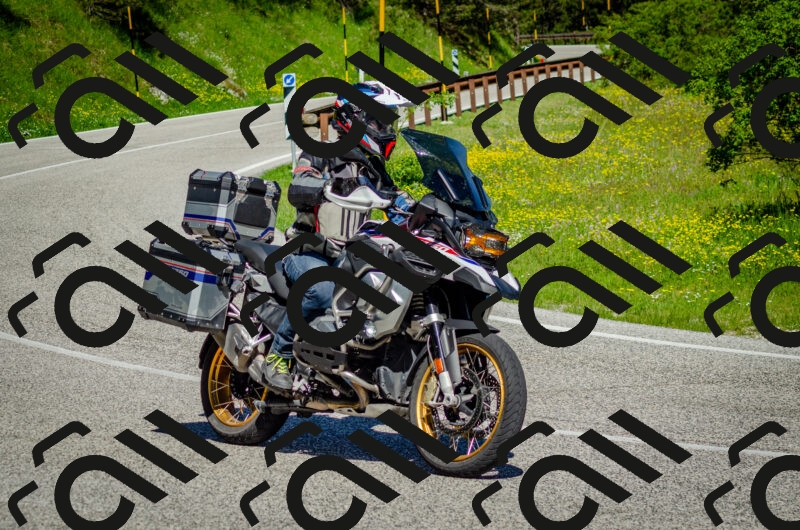 202506011038-DSC_2511_c2