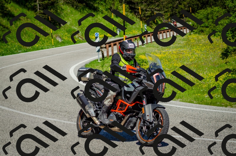 202506011038-DSC_2514_c2