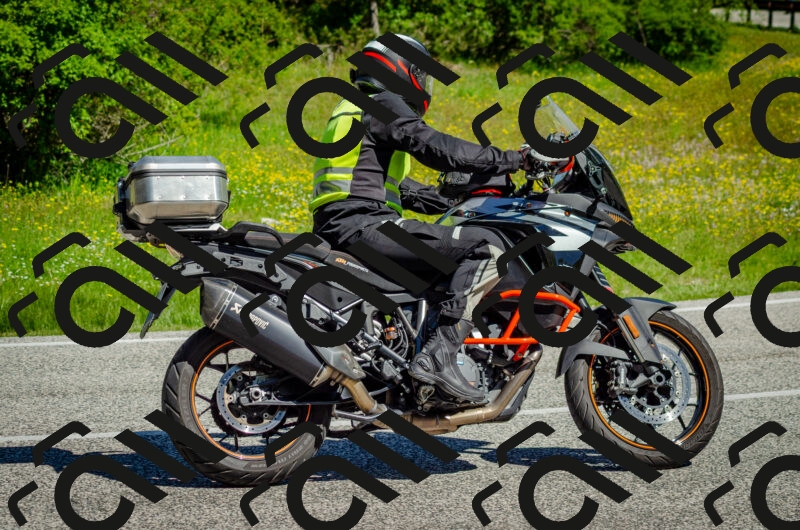 202506011038-DSC_2515_c2