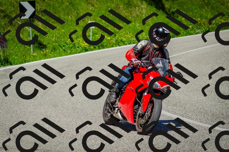 202506011038-DSC_2516_c2