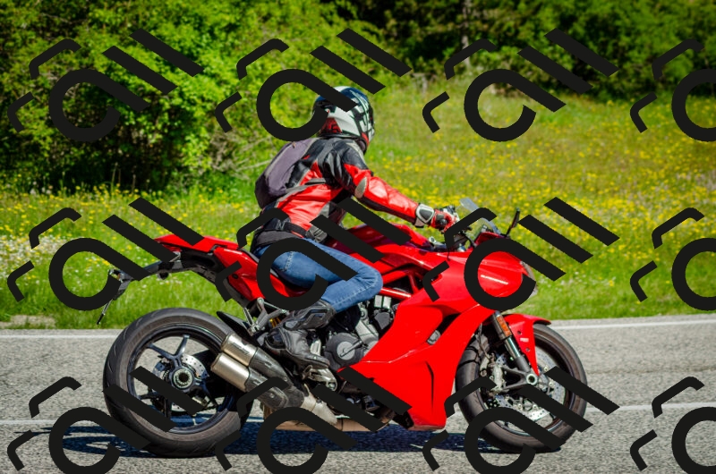 202506011038-DSC_2518_c2