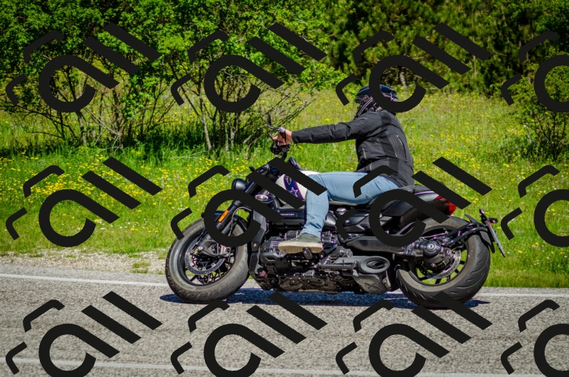 202506011039-DSC_2524_c2