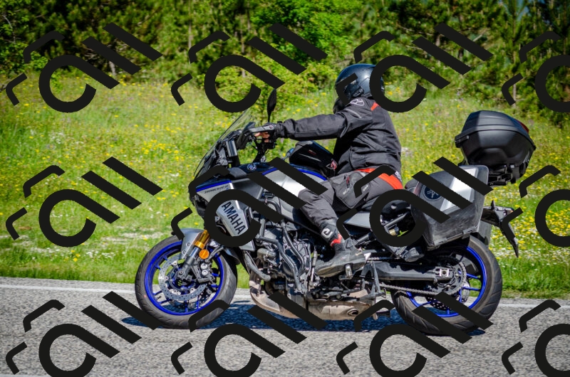 202506011041-DSC_2538_c2