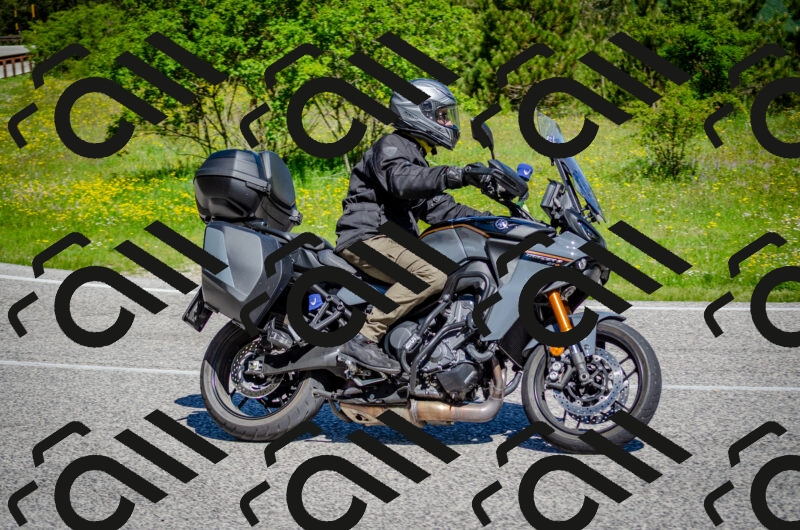 202506011041-DSC_2550_c2