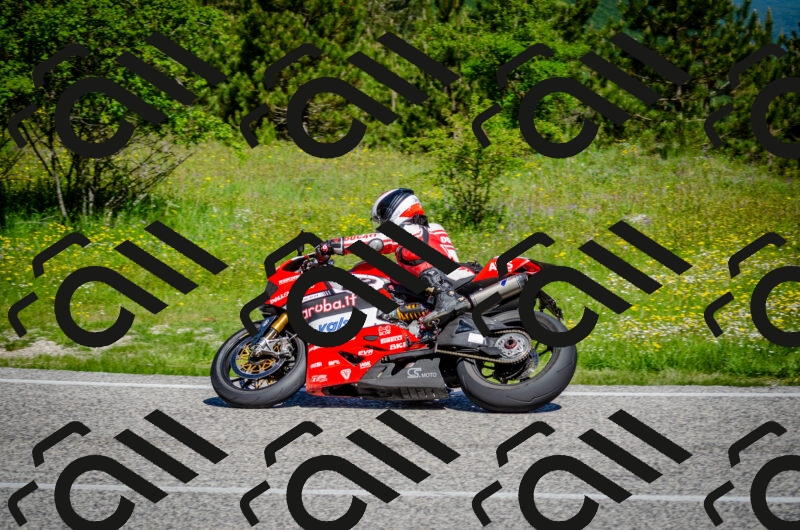 202506011042-DSC_2561_c2