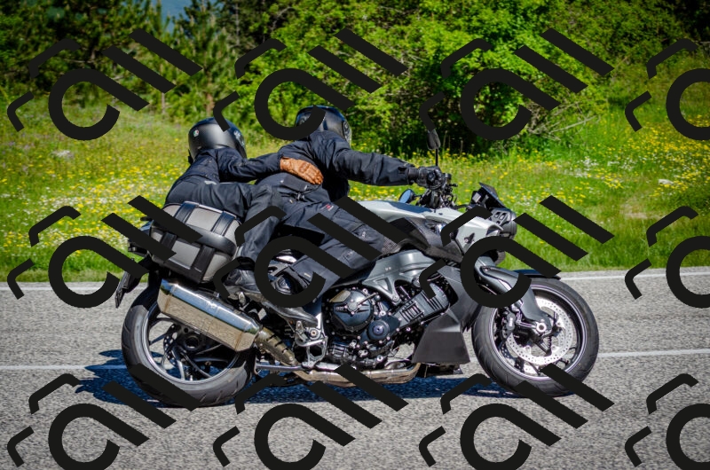 202506011042-DSC_2565_c2