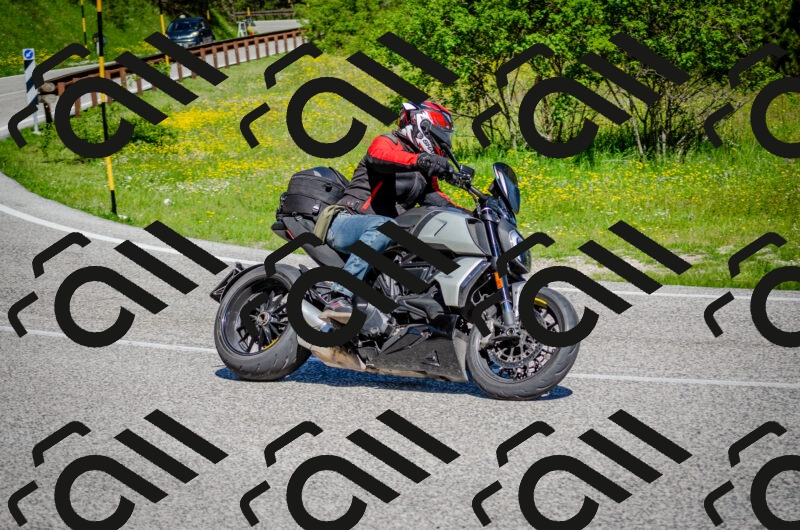 202506011042-DSC_2570_c2