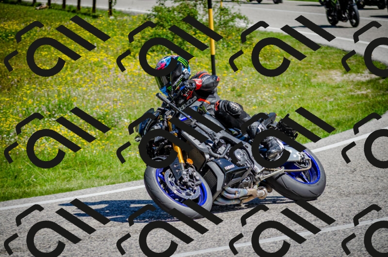 202506011042-DSC_2575_c2