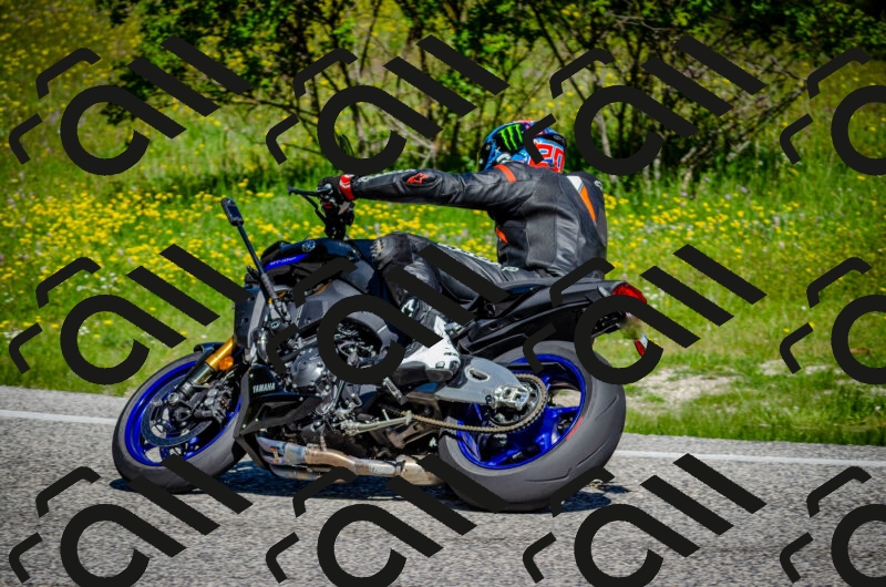 202506011042-DSC_2576_c2