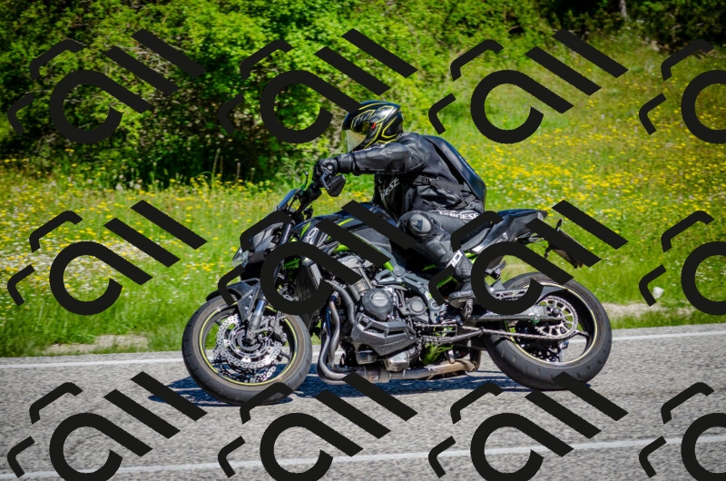 202506011042-DSC_2578_c2