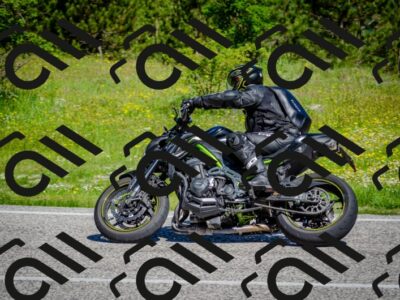 202506011042-DSC_2579_c2