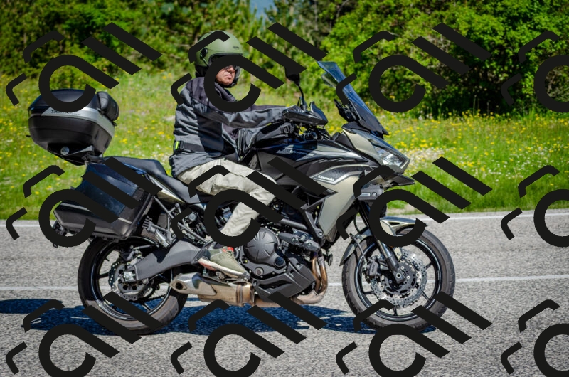 202506011042-DSC_2584_c2