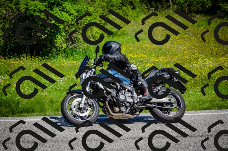 202506011043-DSC_2587_c2