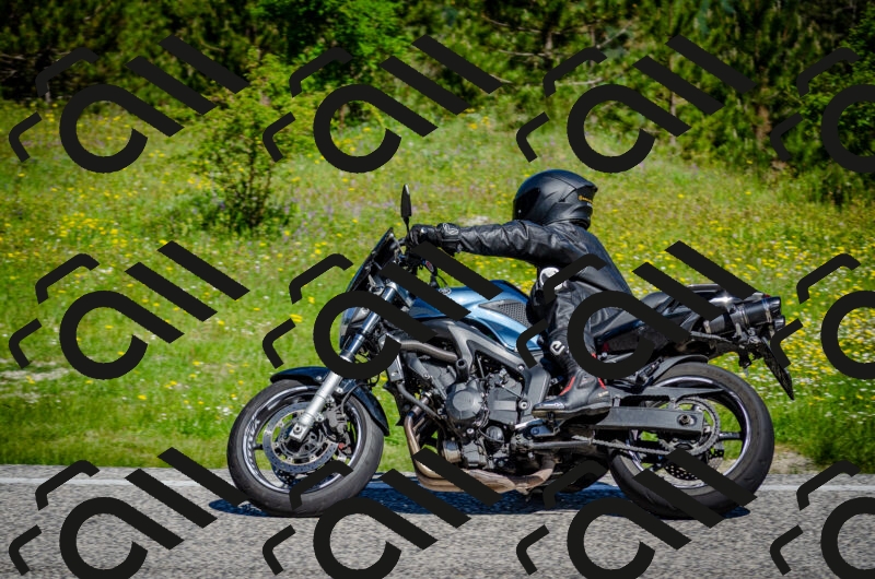 202506011043-DSC_2588_c2