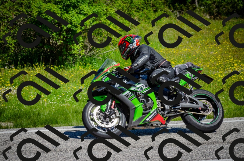 202506011043-DSC_2594_c2