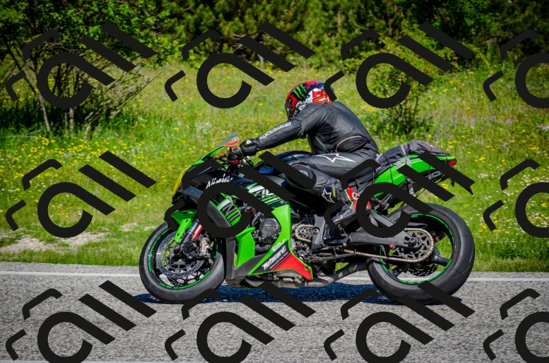 202506011043-DSC_2595_c2