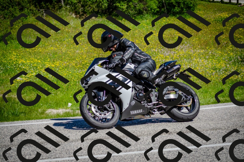 202506011043-DSC_2596_c2