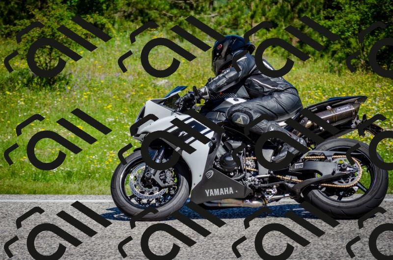 202506011043-DSC_2597_c2