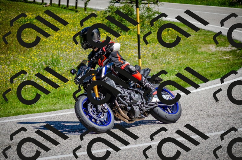 202506011044-DSC_2600_c2