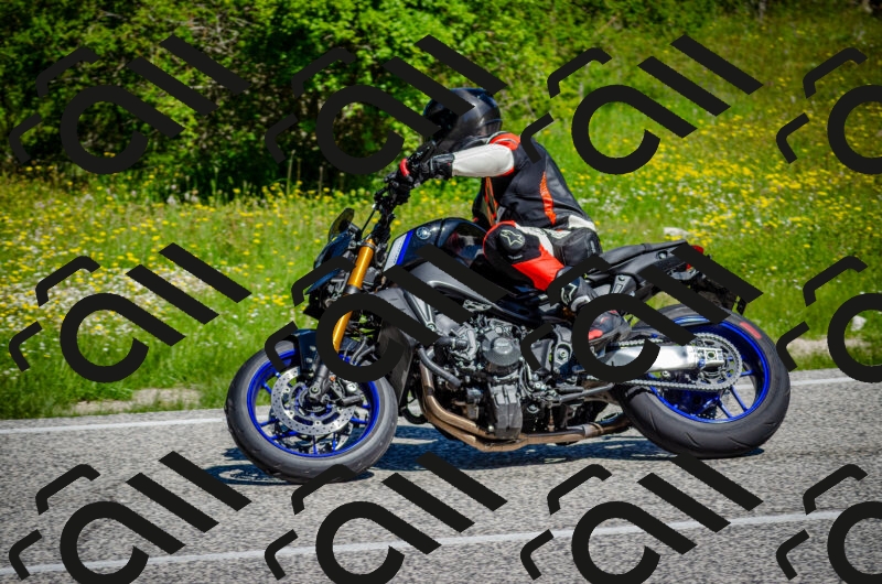 202506011044-DSC_2601_c2