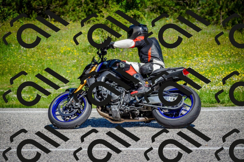 202506011044-DSC_2602_c2