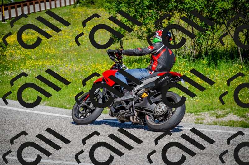 202506011044-DSC_2605_c2