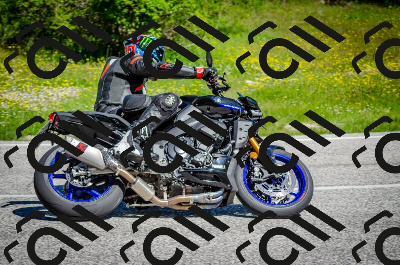 202506011045-DSC_2609_c2