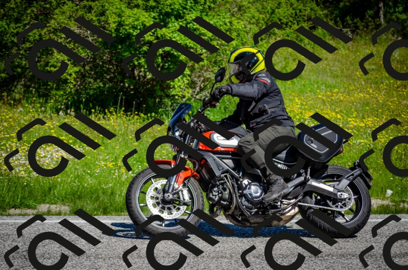 202506011045-DSC_2618_c2