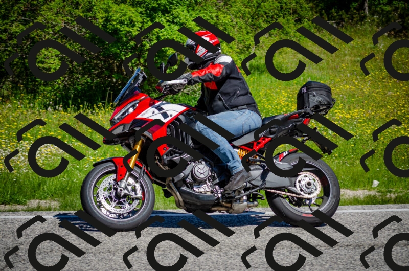 202506011045-DSC_2619_c2