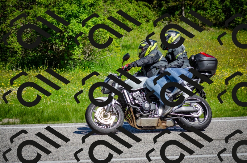 202506011045-DSC_2624_c2