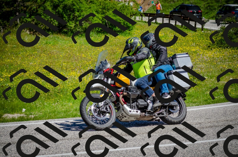 202506011045-DSC_2625_c2