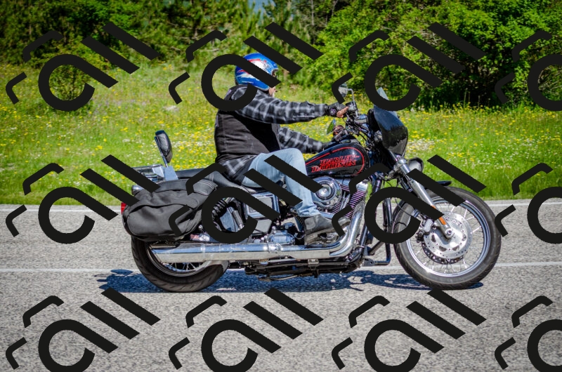 202506011046-DSC_2634_c2