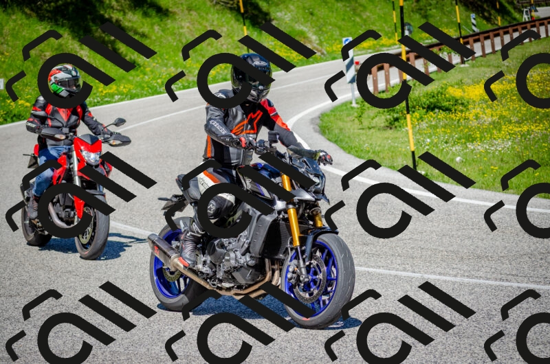 202506011046-DSC_2635_c2