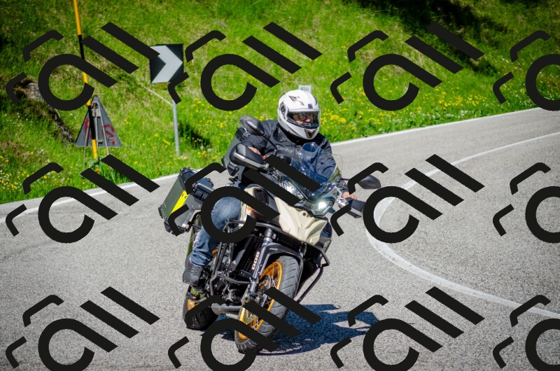 202506011046-DSC_2639_c2