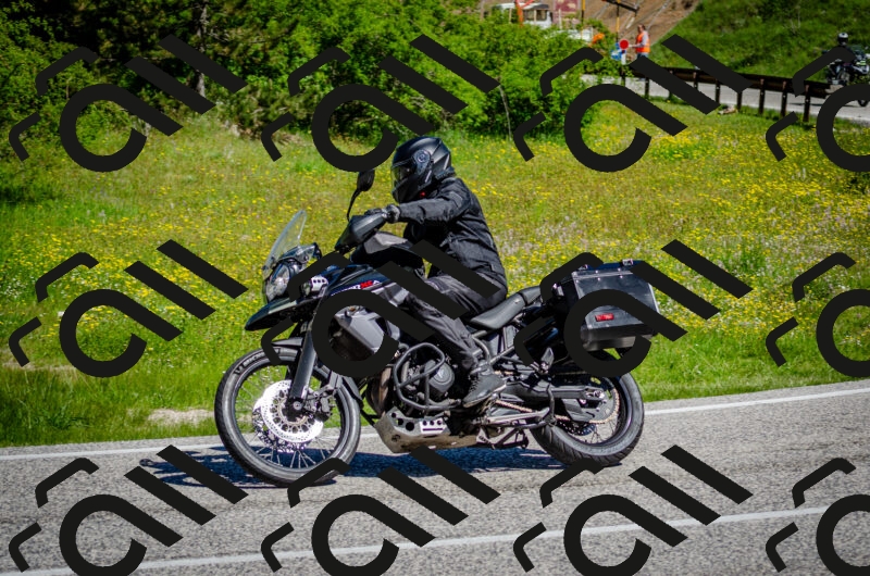 202506011048-DSC_2655_c2