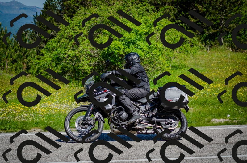 202506011048-DSC_2656_c2