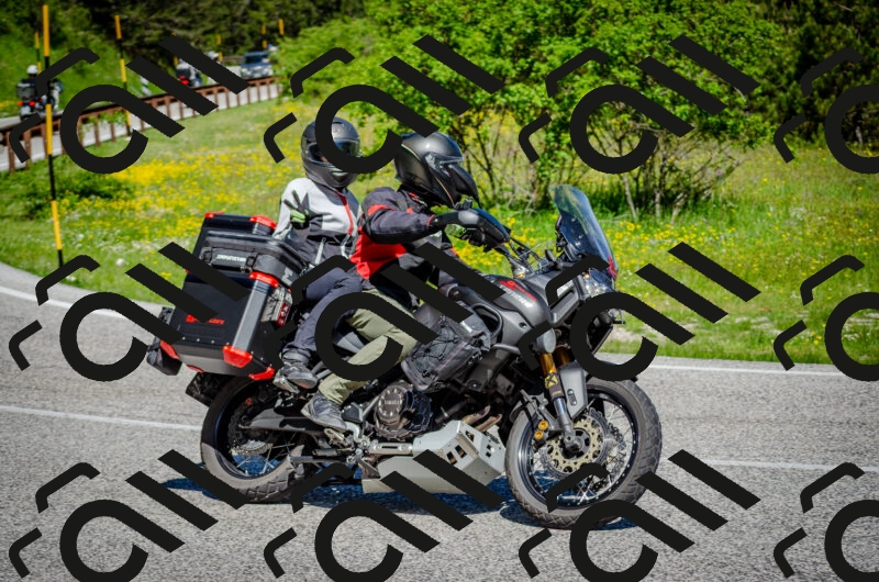 202506011048-DSC_2666_c2