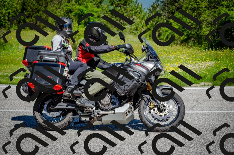 202506011048-DSC_2667_c2