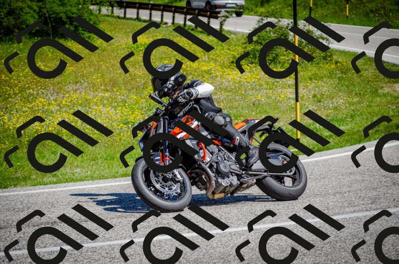 202506011049-DSC_2674_c2