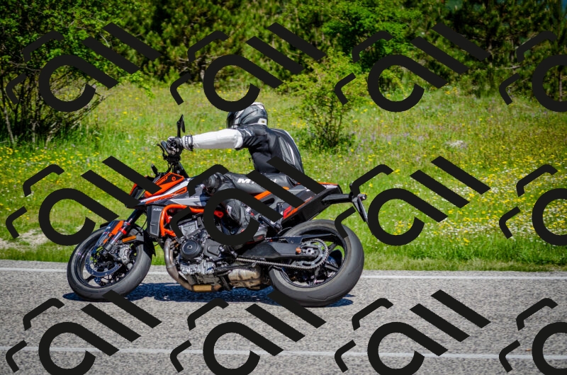 202506011049-DSC_2675_c2