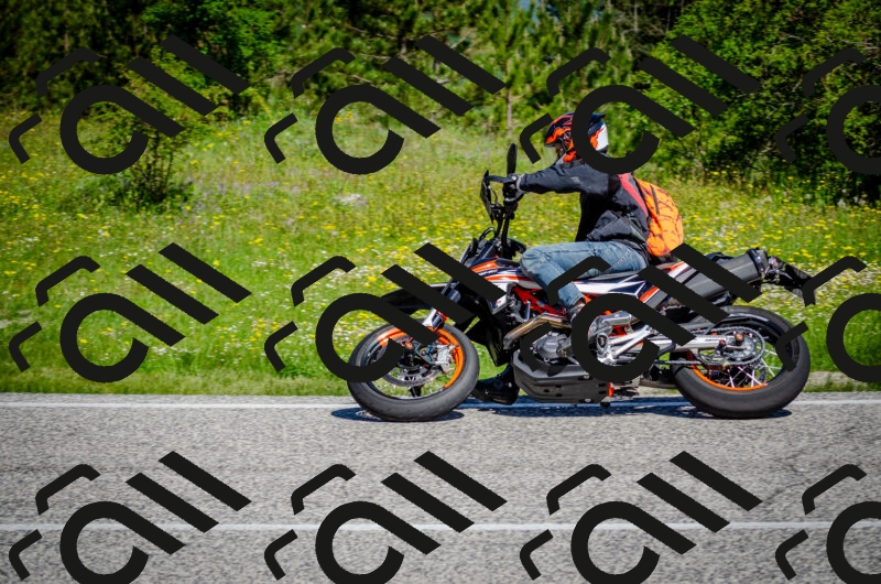 202506011049-DSC_2677_c2