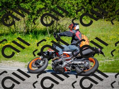 202506011049-DSC_2678_c2