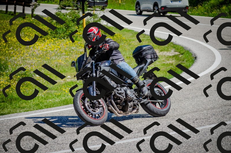 202506011049-DSC_2680_c2