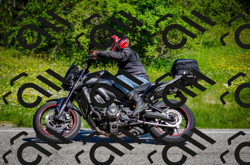 202506011049-DSC_2681_c2